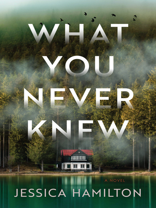 Title details for What You Never Knew by Jessica Hamilton - Available